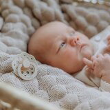 Bibs Boheme Natural Rubber Size 2: 6+ months duda Cloud / Blush 2 kos | Shoptok.si