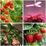  LED sijalica za uzgoj biljaka PLANTY E27/24W/230V 1200K | Eponuda.com