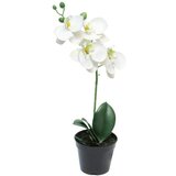  Cvet u saksiji ORCHID 35cm 51345-0 - White - NNT Cene