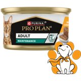 Purina Pro Plan Adult Cat Maintenance Chicken 85g, Vlažna Hrana Za Odrasle mačke | Eponuda.com