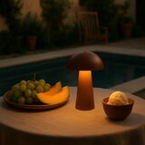 Rabalux 76039 - LED spoljna lampa MIREO sa dodirnom prigušiva 1,5W/5V IP44 1200 mAh USB braon | Eponuda.com