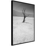  Poster - Survivor 30x45 | shoptok.hr