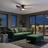 Brilagi LED prigušiva plafonski ventilator LED/38W/230V 100 cm crna/smeđa + daljinski upravljač | Eponuda.com