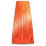 Prosalon Narandžasti toner COLORART - 100g | Eponuda.ba