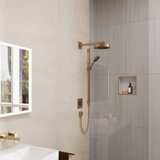 Hansgrohe rainfinity 250 tuš ruža 1 jet, bronza 26228140 | ePonuda.com