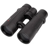 compagno 10x50 wp