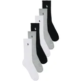 Nogavice CREW 6PK-CREW SOCK-6 PACK Večbarvna