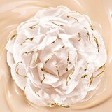 Guerlain Parure Gold Skin Matte Foundation dolgoobstojni matirajoči tekoči puder SPF 15 odtenek 1C 35 ml | Shoptok.si