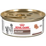 ROYAL CANIN VETERINARY DIET medicinska hrana za pse i mačke recovery 195g Cene