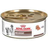 Royal Canin medicinska hrana za pse i mačke recovery 195g | Eponuda.com