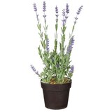  Umjetna biljka Lavanda (11 x 32 cm, Lila, Plastika) Cijene
