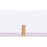  Stropna svetilka KARBON 20 zlata, (21626847) | Shoptok.si