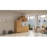 Flex-Well Kuhinjski Blok Z Aparati Nano, Buche | Shoptok.si