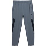 4f Športne hlače golobje modra / črna | Shoptok.si