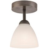  Plafonski luster ADRIANO 1xE27/60W/230V | Eponuda.com