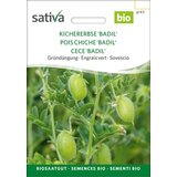 Sativa Bio zeleno gnojilo “čičerika Badil” | Shoptok.si