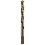 Bosch SVEDER HSS/E DIN 338 12.50X101/151 MM HSS-CO Cene