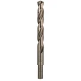 Bosch SVEDER HSS/E DIN 338 12.50X101/151 MM HSS-CO