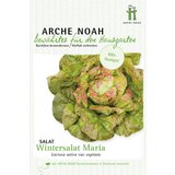 Arche Noah Ekološka solata "Wintermarie" Cene
