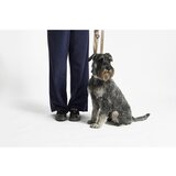 MiaCara Temno siva ovratnica velikosti M/L dolžina 35 cm Modena Asphalt M/ML – | Shoptok.si