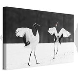  Slika - Dancing Cranes (1 Part) Wide 30x20 Akustična | shoptok.hr