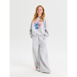Sinsay Bluza s okruglim izrezom s printom Stitch Slike