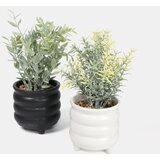 Sinsay Ukrasna umjetna biljka 2 pack | shoptok.hr