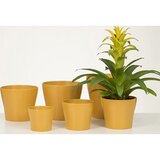  Saksija 808/13 curcuma Cijene