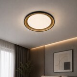  LED plafonjera R-A43, 30 W | Eponuda.com
