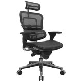 Modrulj ergonomska stolica ERGOHUMAN Cene