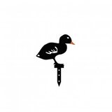 WALLXPERT Ducks | ePonuda.com