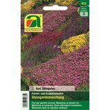 AUSTROSAAT Cushion plant "mešanica za skalnjake" Cene