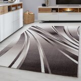 Ayyildiz Carpets Rjava preproga 120x170 cm Parma – | Shoptok.si