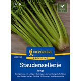 KIEPENKERL Zelena "Tango" - 1 pkt. | Shoptok.si