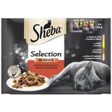 Sheba cat u sosu mešani izbor 4x85g | ePonuda.com
