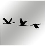 WALLXPERT zidna dekoracija Mallard | ePonuda.com