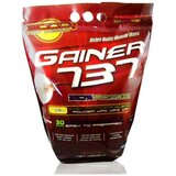 Megabol Gainer 737 3000 g malina