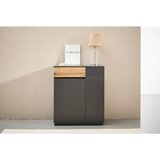 CARRYHOME KOMODA | Shoptok.si