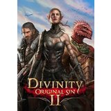  divinity: original sin 2 – divine ascension (dlc) key global | ePonuda.com
