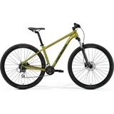 BIG.NINE 20 SE FALL GREEN brdski bicikl (MY25) - L(18,5)