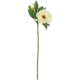 Umetna rastlina (višina 62 cm) Peony –