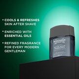 Wilkinson Sword Classic Aftershave Fragrance osvežilna voda za po britju za moške 100 ml | Shoptok.si