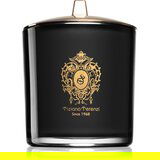 Tiziana Terenzi Almond Vanilla mirisna svijeća s drvenim fitiljem 900 g | shoptok.hr