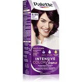 Schwarzkopf Palette Intensive Color Creme trajna boja za kosu nijansa 6-99 (V5) Intense Violet 1 kom | shoptok.hr