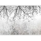  Foto tapeta - Natural Brightness 245x175 | shoptok.hr