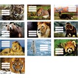  Nalepke za zvezke Animal Wild, 10 kosov | Shoptok.si