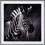 PT LIVING Slika 50x50 cm Zebra – Cijene