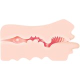 Zero Tolerance realistična umetna usta (naravna) | Shoptok.si