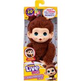 MOOSE ENTERPRISE Little Live Pets: Mini Maki Chikki Cherry interaktivna rjava opica | Shoptok.si