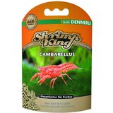 Dennerle shrimp king cambarellus Cene